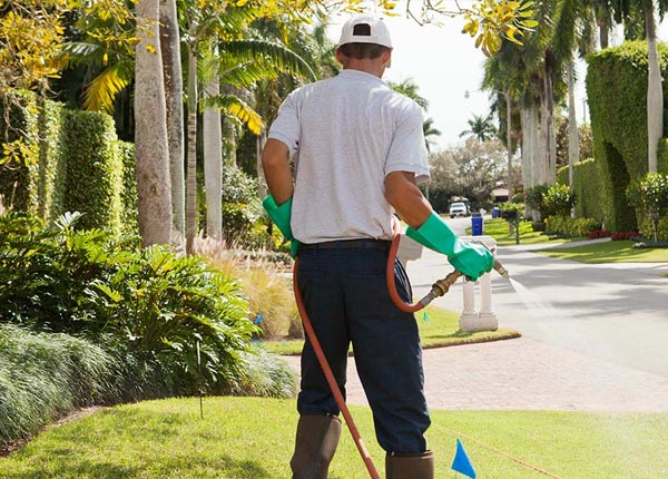 About Arnold CA Pest Control
